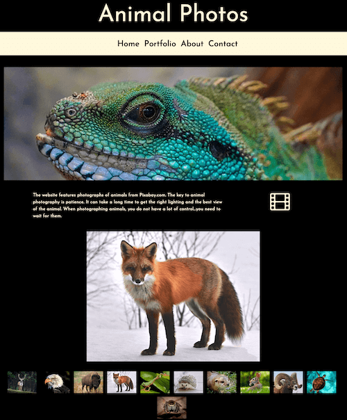 Animal Gallery Website Project Link