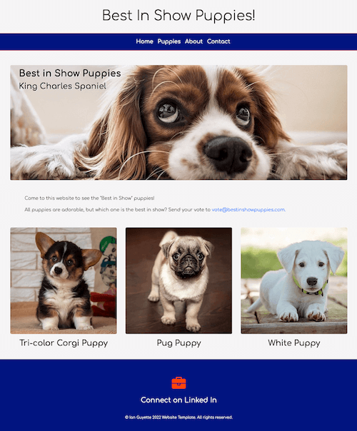 Best in Show Website Project Link